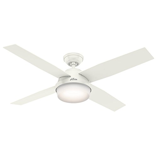 Hunter Fan Company Hunter Dempsey 室内/室外吊扇带 LED 灯和遥控器，52'，白色