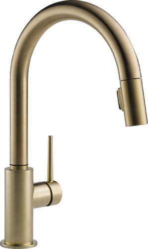 Delta Faucet Trinsic 单把手厨房水槽水龙头，带下拉式喷雾器和磁力对接喷头，香槟青铜色 9159-CZ-DST