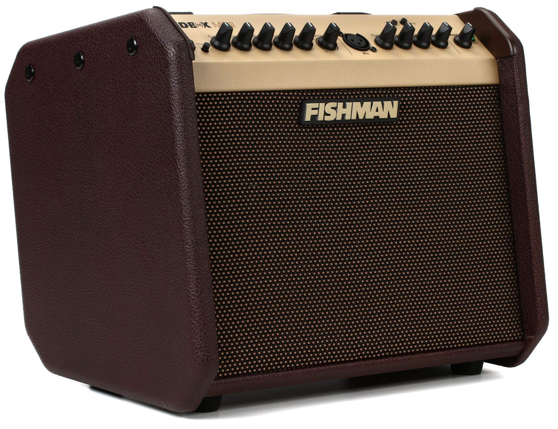 Fishman Loudbox Mini BT 60 瓦 1x6.5 英寸原声组合
