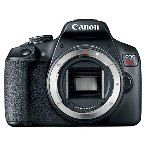Canon EOS Rebel T7 数码单反相机（仅限机身）（套件盒）