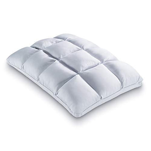 PureCare 冷却SoftCell低温记忆泡沫枕头，可逆和可调舒适，标准（PCFRIOP602）...
