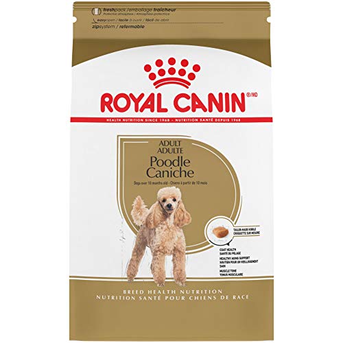 Royal Canin 贵宾犬成犬品种专用干狗粮，10 磅袋装