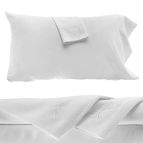 Bed Voyage 100% 竹床单套装 - 大号 - 防过敏 - 人造丝粘胶竹纤维（白色）4 件套
