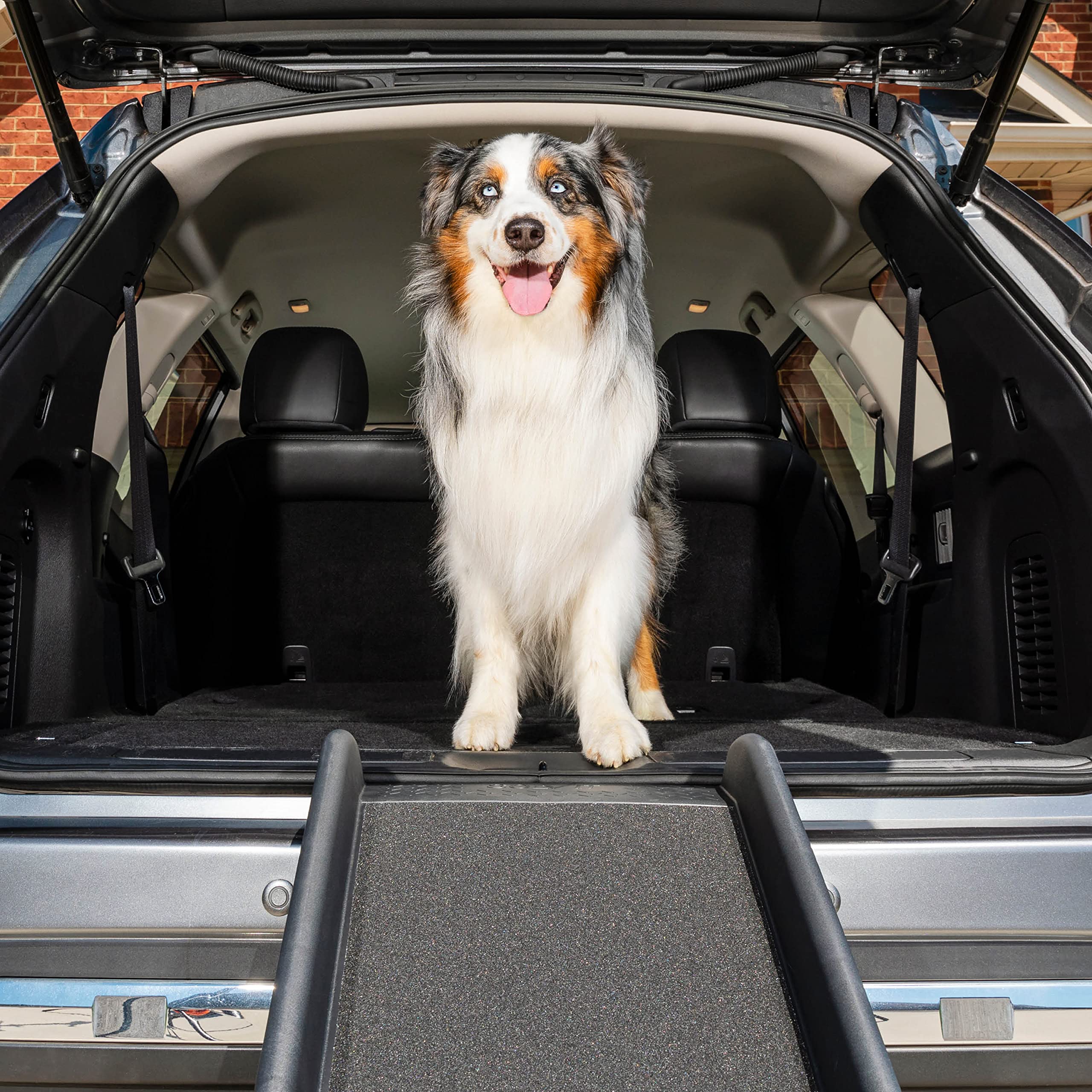  PetSafe Happy Ride 折叠狗坡道，适用于汽车、卡车和 SUV - 62 英寸便携式宠物坡道，适合大型犬，带侧栏，防滑 - 仅重 10 磅，可支撑 150 磅，易于存放，可折叠...