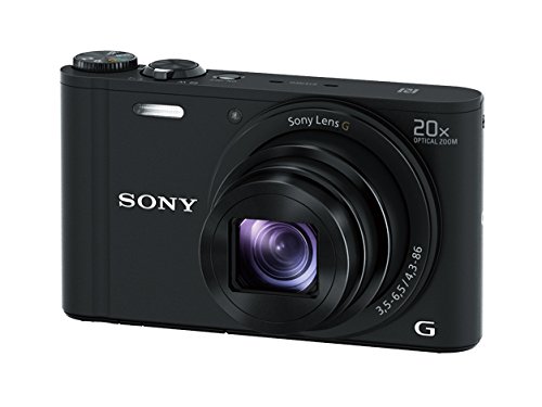 Sony WX350 18 MP 数码相机