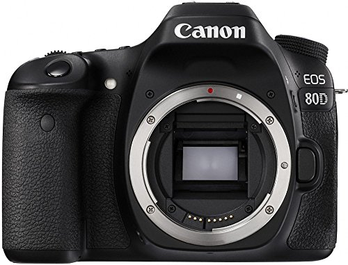 Canon 数码单反相机机身 [EOS 80D]，配备 24.2 兆像素 (APS-C) CMOS 传感器和双像素 CMOS AF - 黑色