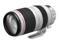 Canon EF 100-400mm f / 4.5-5.6L IS USM长焦变焦镜头，用于单反相机