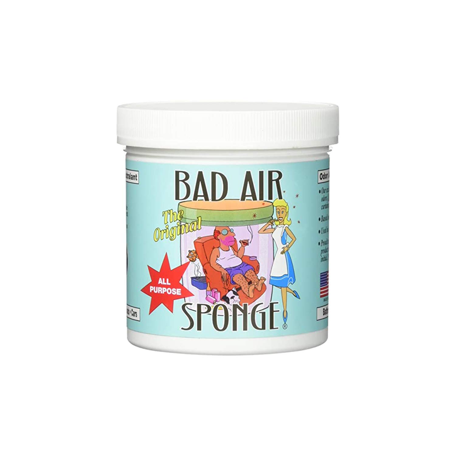 Bad Air Sponge 气味中和剂，吸收并消除难闻气味，1 磅