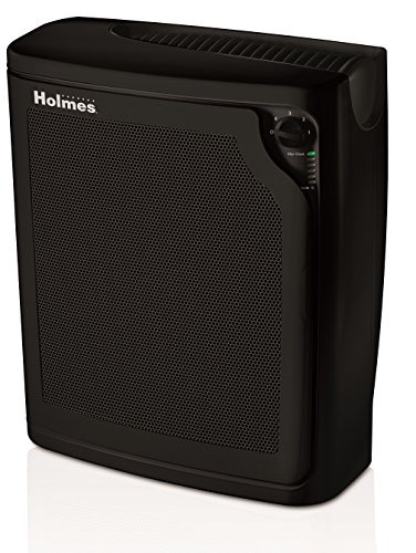 Holmes 真正的 HEPA 控制台空气净化器，带过滤器寿命监控栏和安静运行 |大房间空气净化器 - 黑色 (HAP8650B-NU-2)