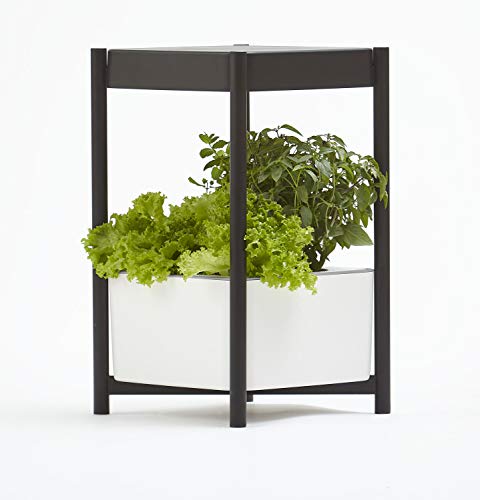 Miracle-Gro 十二个室内种植系统，带LED种植灯的侧桌用于全年园艺，绿叶蔬菜，药草和花卉种植机