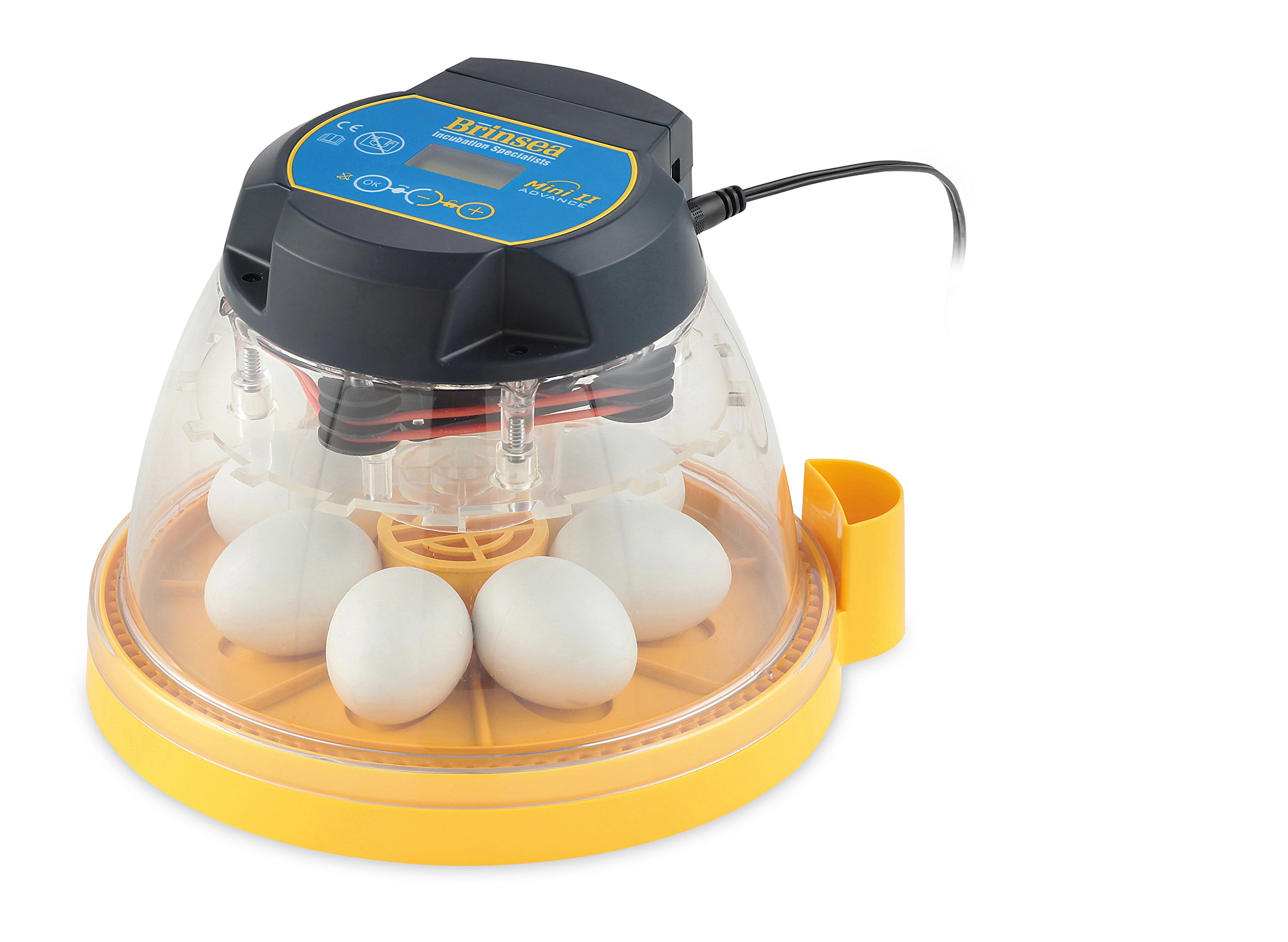 Brinsea 产品 Mini II Advance 自动 7 个鸡蛋孵化器，一种尺寸，黄色和黑色，USAB16C