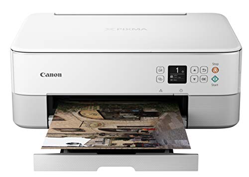 Canon PIXMA TS5320 多合一无线打印机、扫描仪、复印机，带 AirPrint，白色，与 Alexa 配合使用