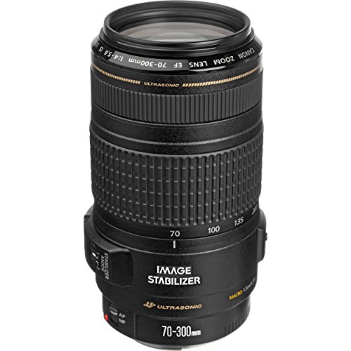 Canon EF 70-300mm f / 4-5.6 IS USM镜头，用于EOS单反相机...