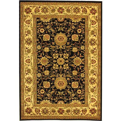 Safavieh Lyndhurst 黑色/奶油色地毯 地毯尺寸：9' x 12'