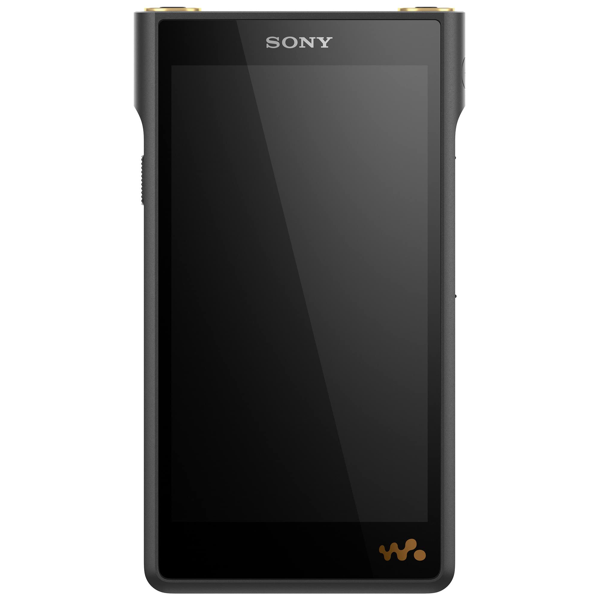 Sony NW-WM1AM2 Hi-Res 128GB Walkman Digital MP3 ...