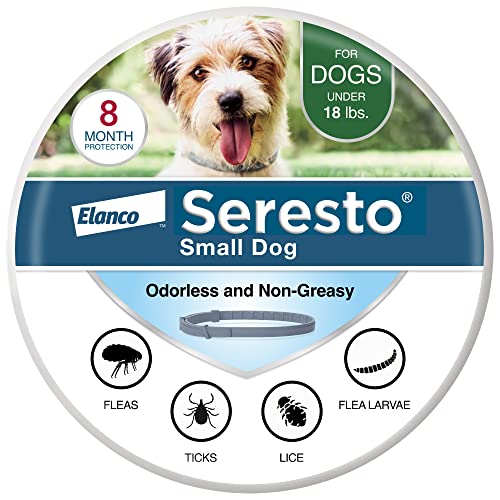 Seresto 小型犬兽医推荐的跳蚤和蜱虫治疗和预防项圈，适用于 18 磅以下的狗狗。 | 8 个月保障