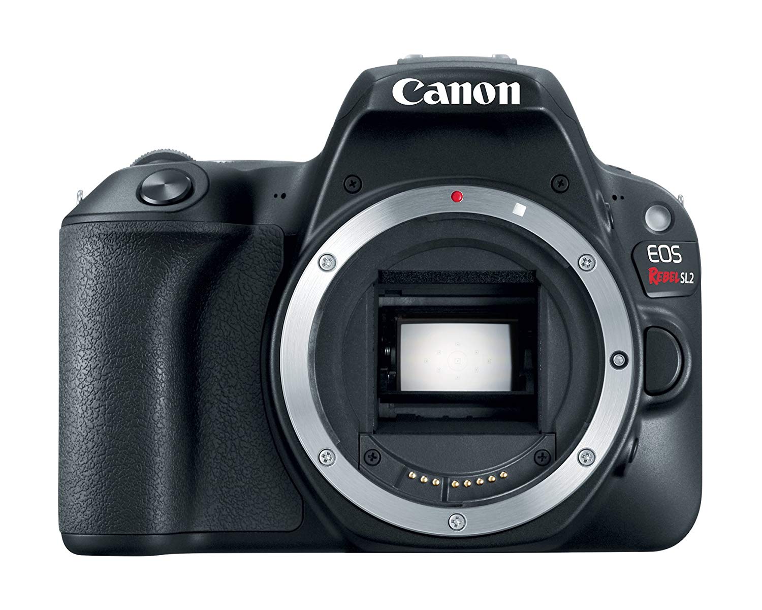 Canon EOS Rebel SL2数码单反相机机身-启用WiFi