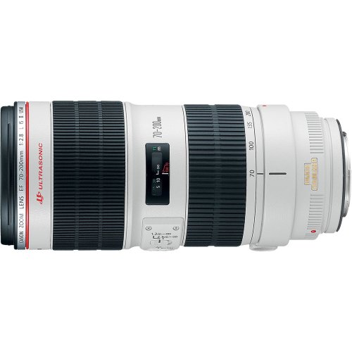 Canon EF 70-200mm f / 2.8L IS II USM远摄变焦镜头，用于单反相机