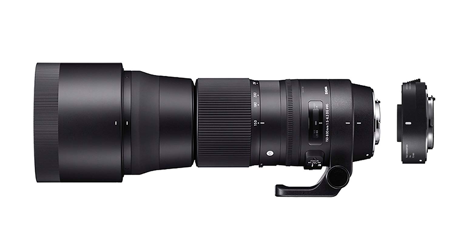 SIGMA 适用于佳能的150-600mm f / 5-6.3 DG OS HSM当代镜头（95mm）...